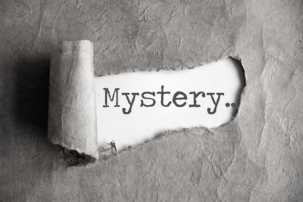 Mystery Man | Todd Hampson | Harvest Prophecy